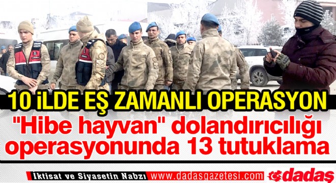  Hibe hayvan  dolandırıcılığı operasyonunda 13 tutuklama