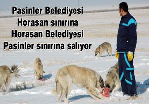 ŞAŞILACAK İŞ!
