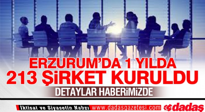 1 yılda 213 şirket