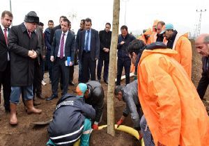 Ağaçlandırmada ‘büyük’ açılım