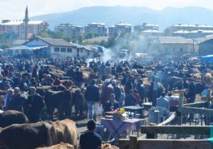 Kurbanlık pazarında şerefe canlılığı