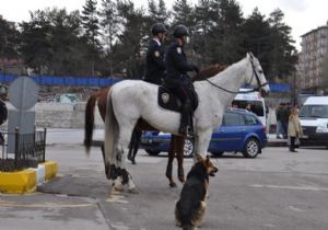 Çizi ilgi odağı oldu