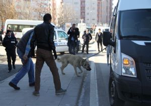 Sokak köpeği 4 öğrenciye saldırdı