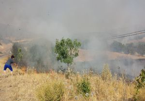 Askeri pusuya düşürmek için orman yaktılar