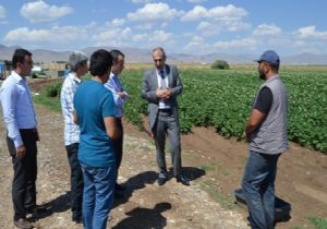 Sertifikalı tohumda Erzurum farkı