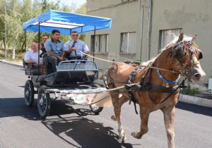 Dumlu’da Fayton Kültürü’ne destek