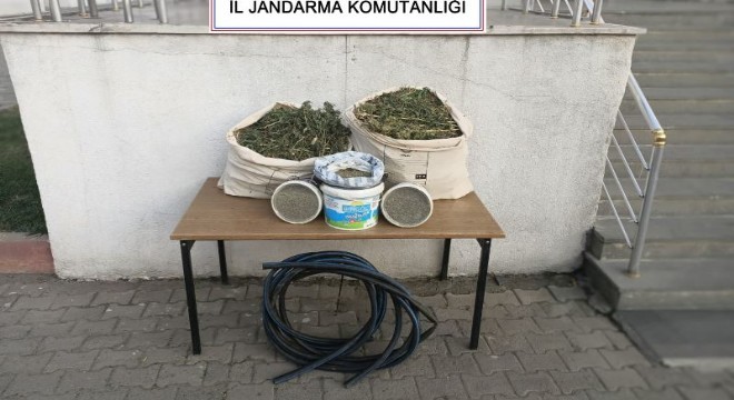 21 kilo esrar ve kenevir tohumu ele geçirildi