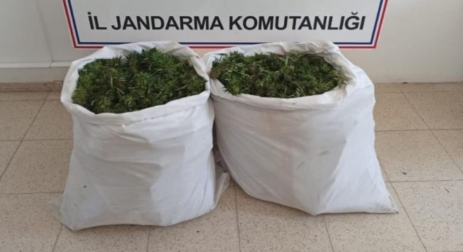 23 kilo skunk ele geçirildi