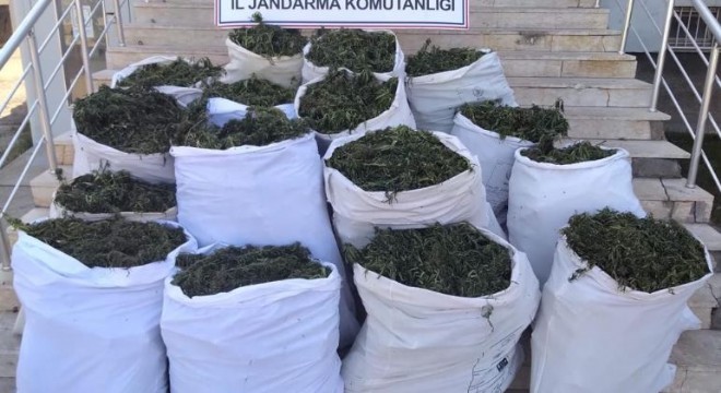 251 kilogram esrar ele geçirildi