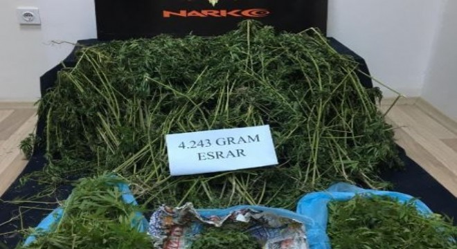 4 kilo 243 gram esrar ele geçirildi