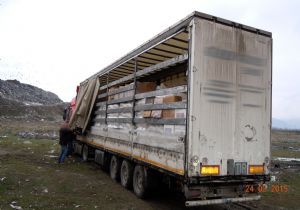 97 bin paket kaçak sigara ele geçirildi