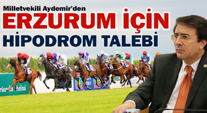 AYDEMİR DEN ERZURUM İÇİN HİPODROM TALEBİ