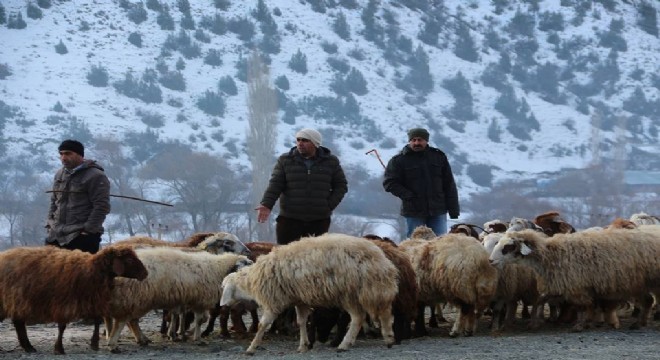 Akşarlıların Sekmen den talepleri var