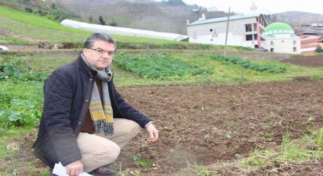 Aydın, patates ekimi yasağını değerlendirdi