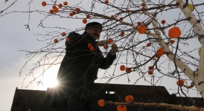 Aziziye’de Osmanlı geleneği yaşatılıyor