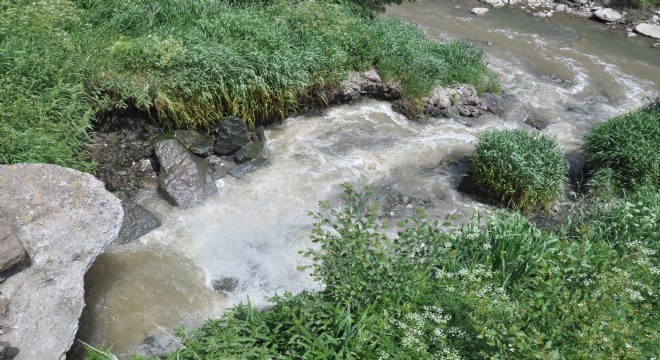 Balık ölümlerinin sebebi kirlilik