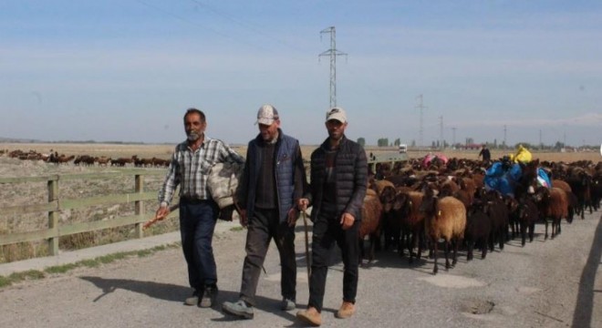 Besiciler Ağrı Dağı’nın yolunu tuttu