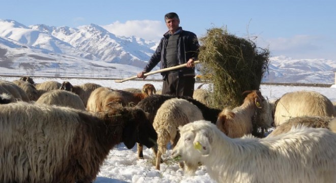 Besicilerin 6 ay süren kış mesaisi başladı