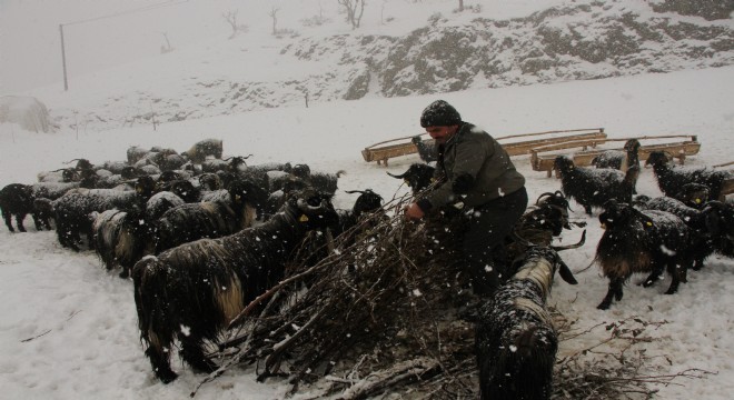 Besicilerin kış mesaisi devam ediyor