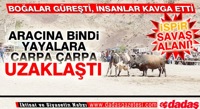 Boğalar Güreşti, ortalık savaş alanına döndü