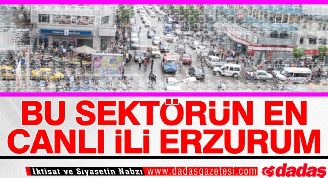 Bu Sektörün en canlı ili Erzurum