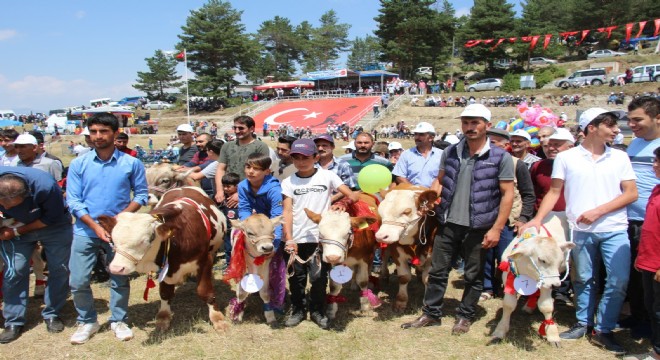 Buzağı ve Kuzu yarışması renkli görüntülere sahne oldu