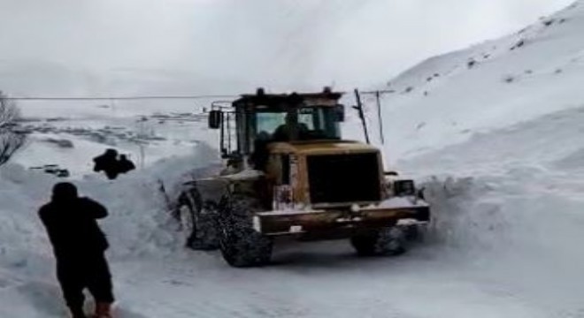 Büyükşehir belediyesi ekiplerince kurtarıldılar