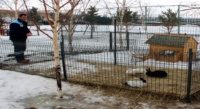 Büyükşehir’den Uyarı: ‘Hayvanları mağdur etmeyin’