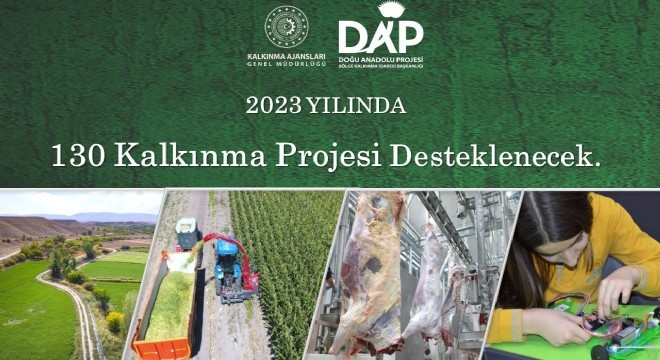 DAP BKİ’den 130 projeye destek