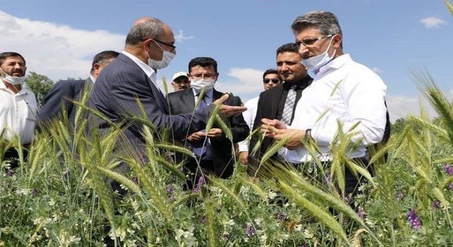 DAP İdaresi destekledi, üretici benimsedi