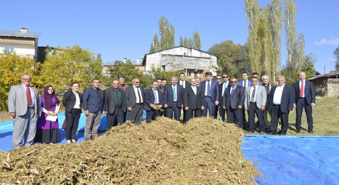 DAP İdaresi’nden marka desteği