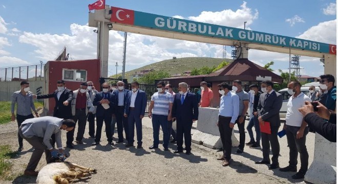 DAİB, sınır kapısında kurban kesip dua etti