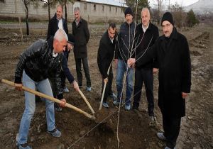 DAP İdaresi’nden meyveciliğe destek
