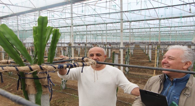 Dadaş girişimci, Antalya’da gündem oluşturdu