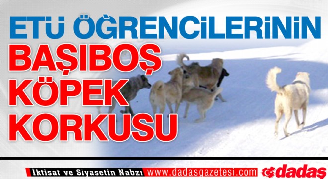 ETÜ öğrencilerinin başıboş köpek korkusu