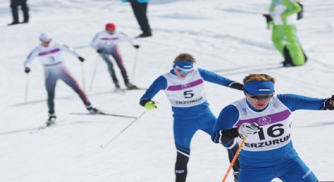 EYOF 2017 Erzurum, Avrupa spor gündeminde