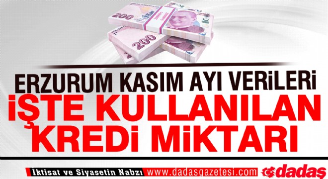 Erzurum da Kasım ayında bakın ne kadar nakdi kredi kullanıldı