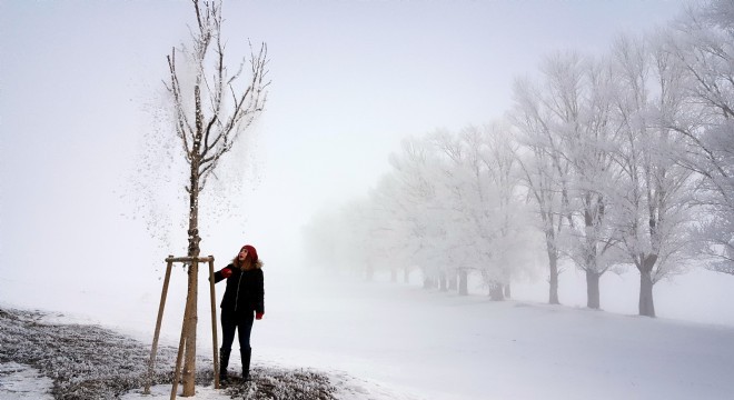 Erzurum da düşen kırağı sonrası görsel şölen