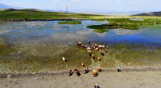 Erzurum da kuraklık gündemi