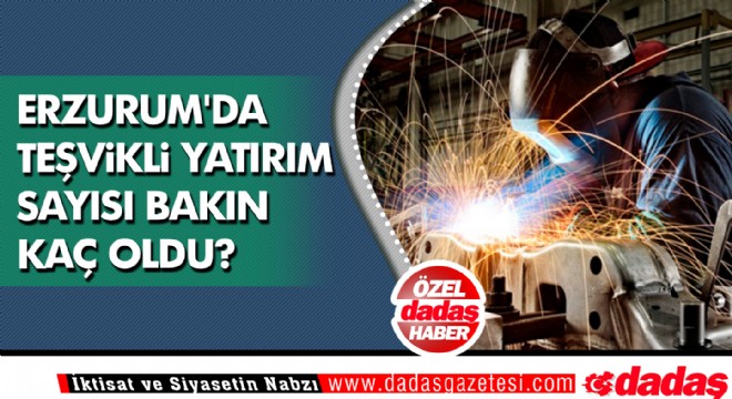 Erzurum da teşvikli yatırım sayısı bakın kaç oldu?