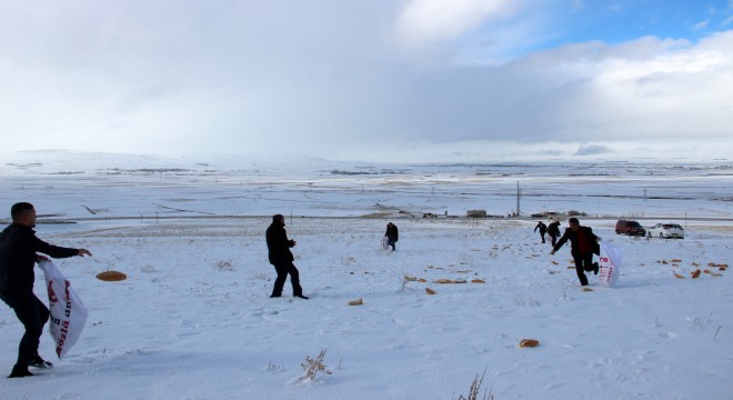 Erzurum esnafından yaban hayatına destek