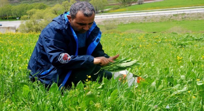 Erzurumlunun sebze tercihi açıklandı