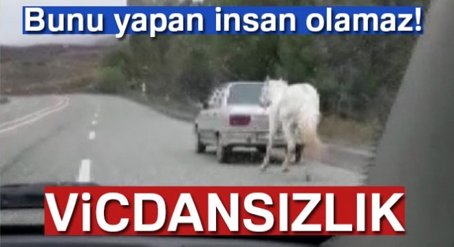 Erzurum’da tepki toplayan görüntü