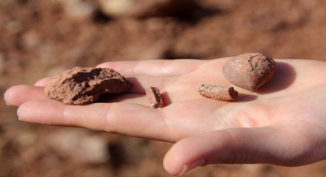 Fosil bulundu, hassas alan  listesine alındı