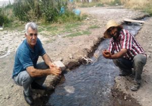 Vatandaş iddia etti, Öztürk yalanladı