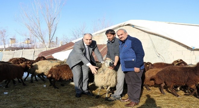 Genç Çiftçi projesi ile hayaline kavuştu