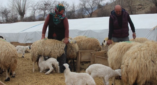 Göçerlik Onların yaşam biçimleri