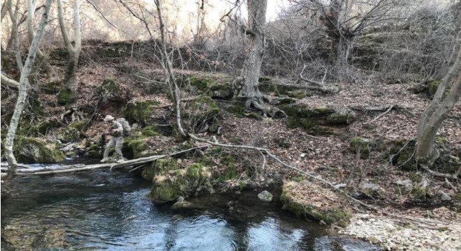 Hainlere  Eren Operasyonları  darbesi