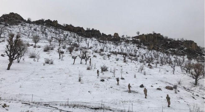 Hainlerin kış üstlenmesine darbe