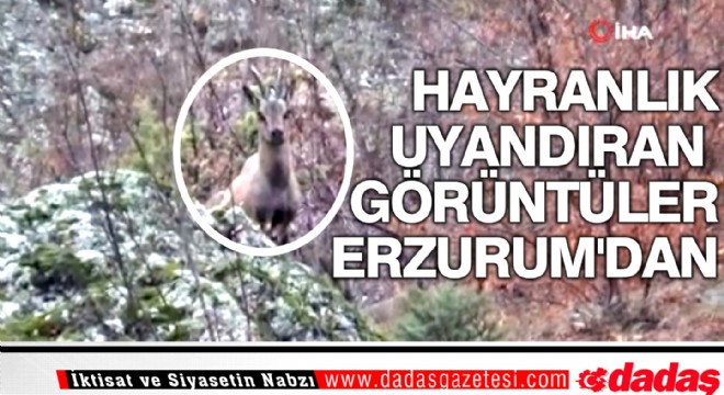 Hayranlık uyandıran görüntüler Erzurum dan